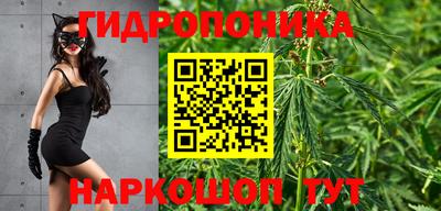 эйфоретик Будённовск