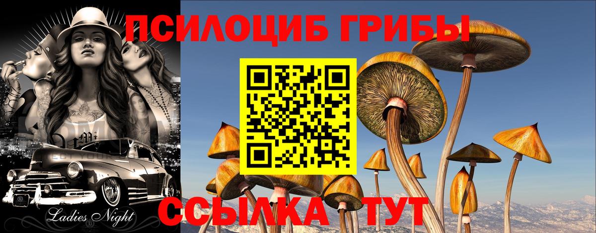 Галлюциногенные грибы мицелий  купить  сайты  Надым  Вход с VPN 