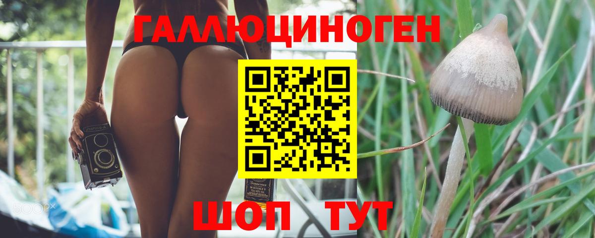 Галлюциногенные грибы ЛСД Надым